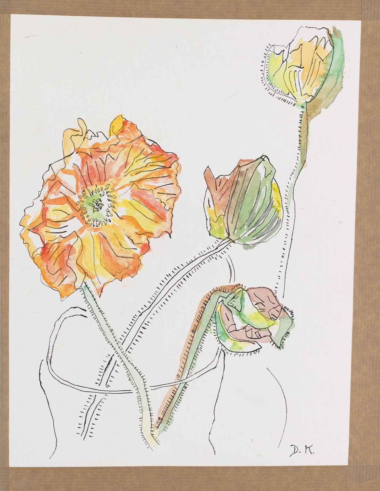 Drawing, ink and watercolor: Flowers