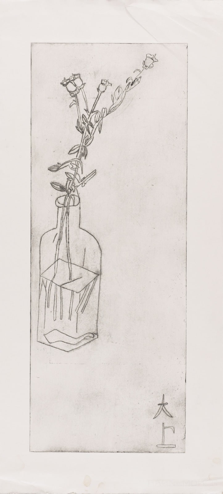 Drawing - Pencil - Flower in a jar