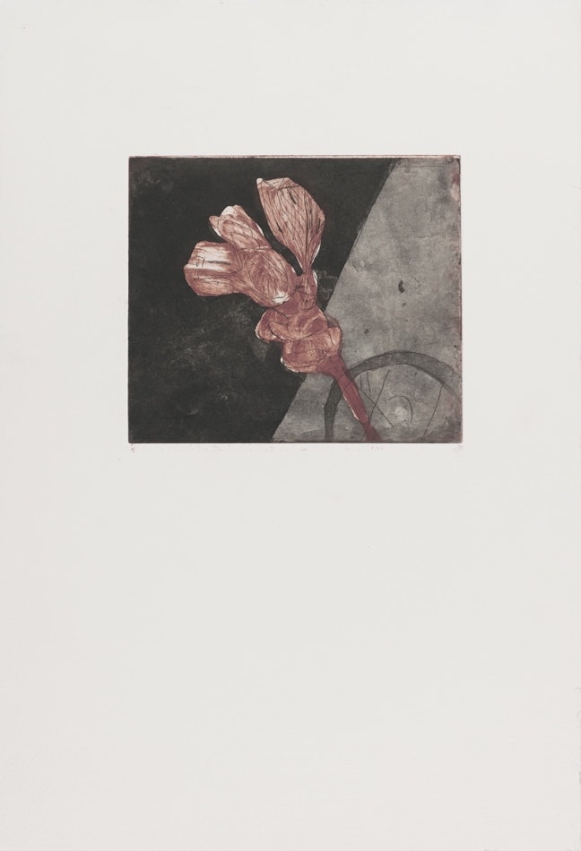 Print, etching and aquatint, two superimposed plates: Wilted flower 3