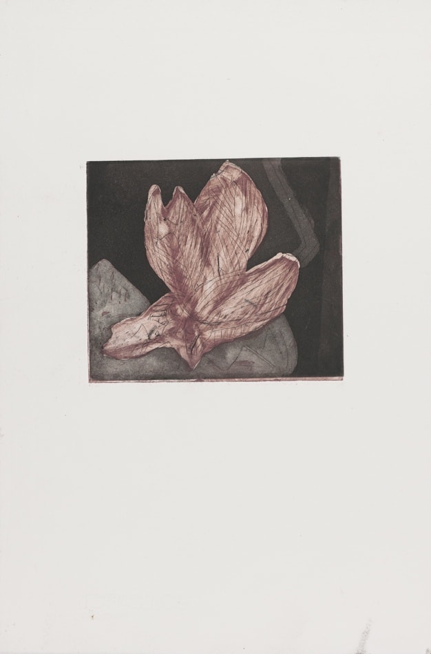 Print, etching and aquatint, two superimposed plates: Wilted flower 4