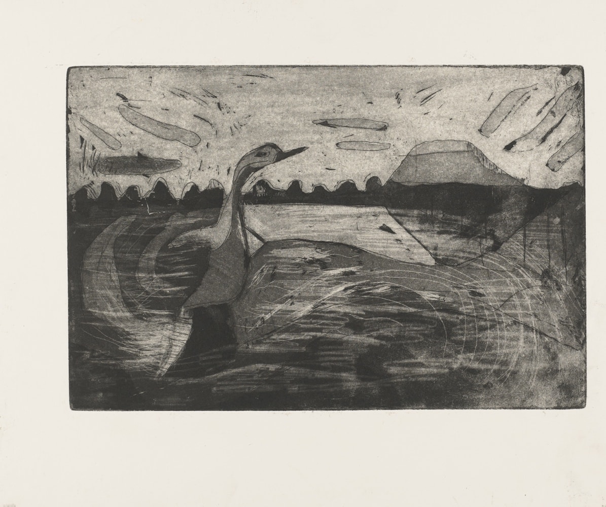Print, etching and aquatint: Swan emerging from water